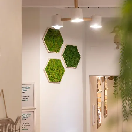 Bed and Breakfast Old Town 3*